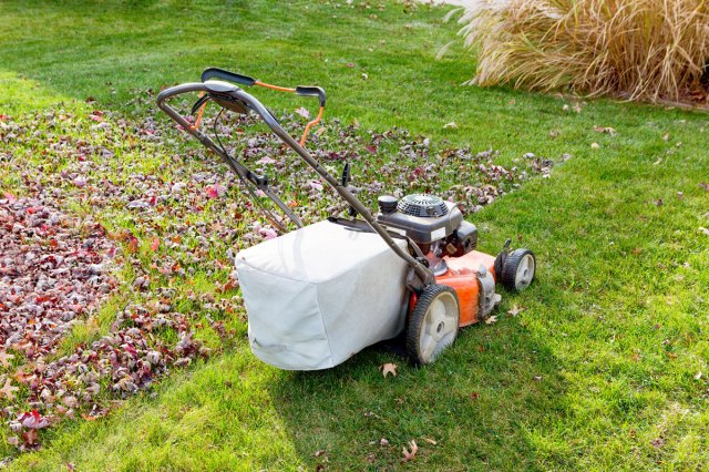 An image of a lawn mower on the grass with leaves