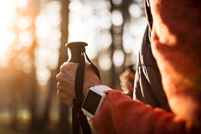 An image of a person on a hike in the woods