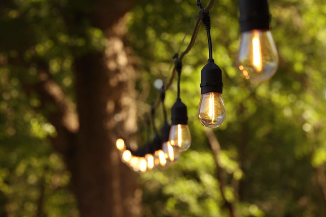 String lights extended from a tree