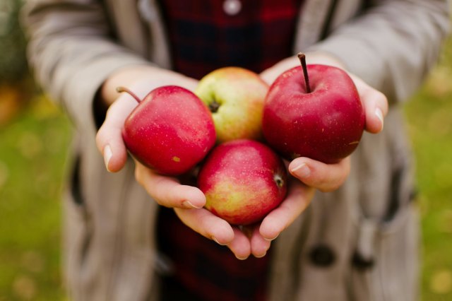 An image of a woman holding four apples