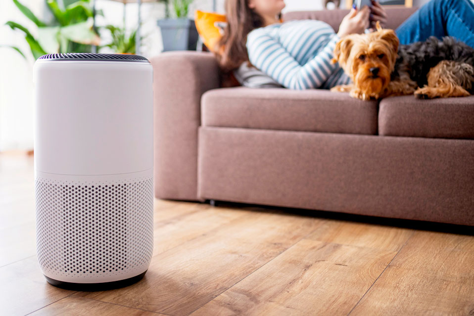 An image of a white air filter on the floor with a woman and a dog laying on the couch in the background