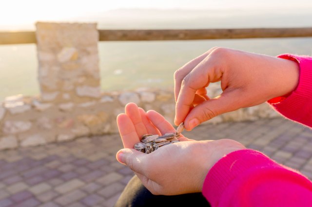 An image of a person taking a sunflower seed of a pile in their palm