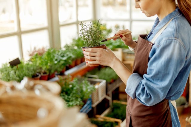 An image of a woman loosening the soil around a plant with a mini-rake