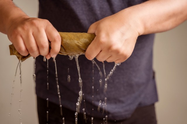 An image of a person wringing out an article of clothing