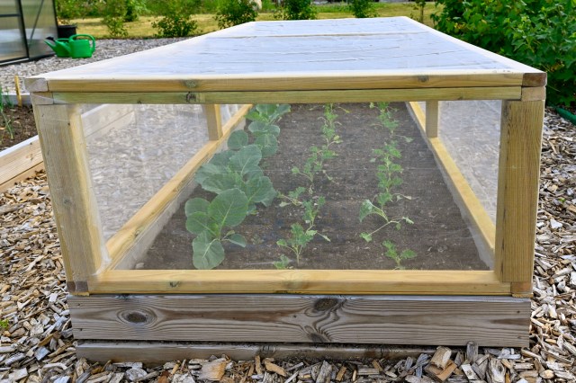 An image of a covered outdoor garden