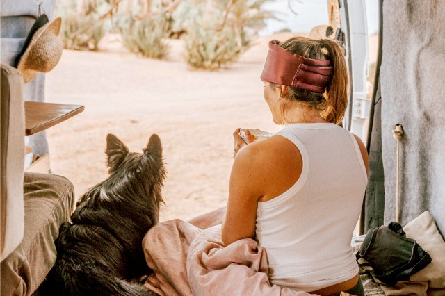 An image of a woman and a dog sitting in a van