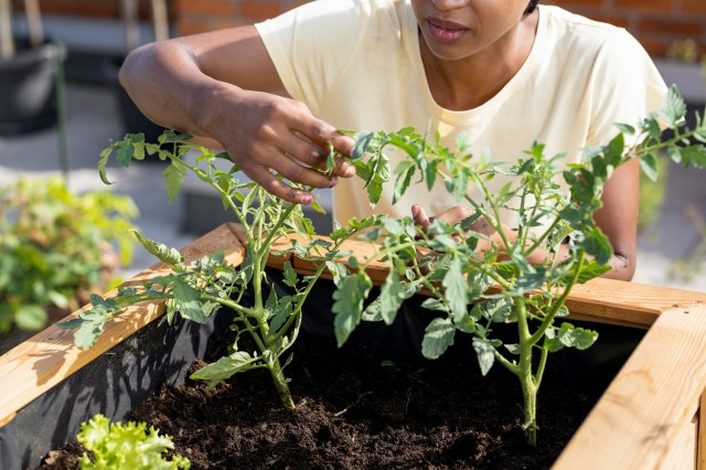 An image of a woman next to a garden