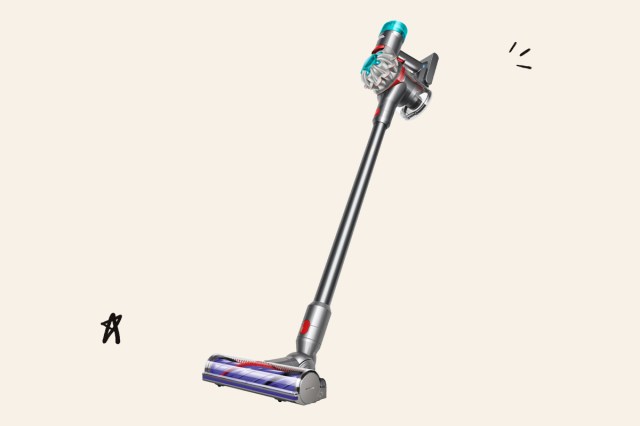 Image of Dyson vacuum.