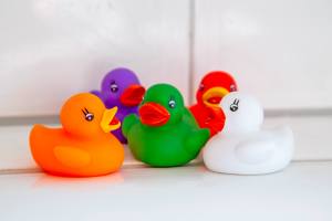 Rubber ducks of all different colors