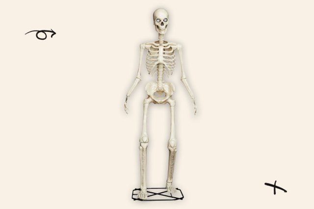 A photo of Home Depot's 12-foot skeleton decoration