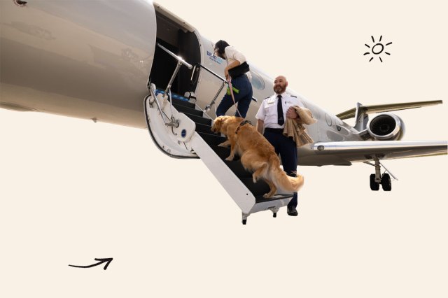 An image of Bark's air plane