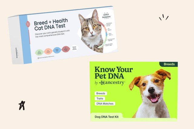 An image of the Basepaws and Ancestry pet DNA kits