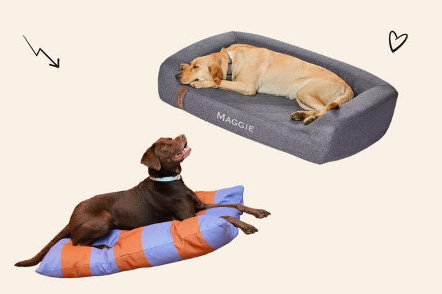 An image of the Approved by Fritz and Orvis pet beds