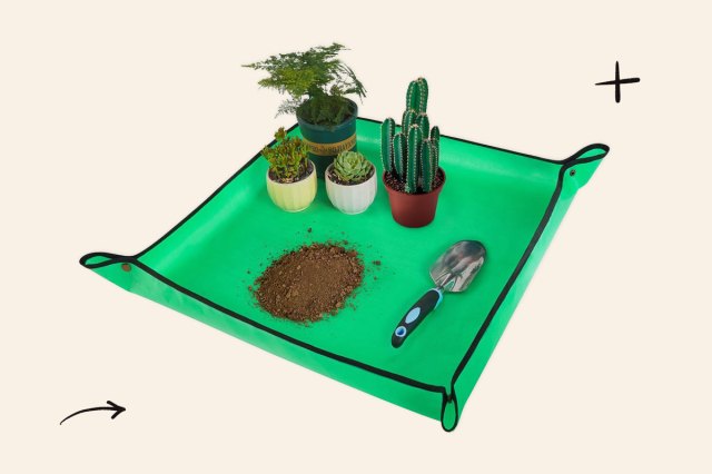 An image of a Repotting Mat