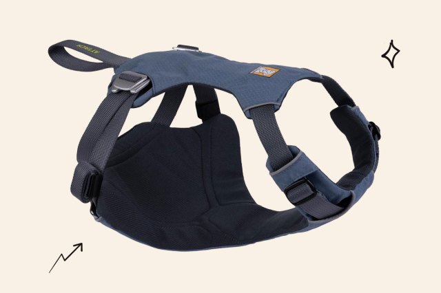 An image of the Ruffwear harness