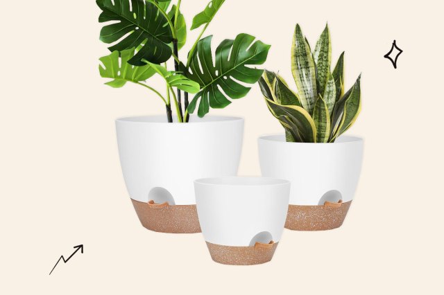 An image of the Ynnico Self-Watering Plant Pots