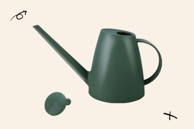 An image of the Qilebi Watering Can